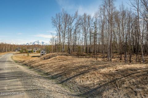 8265 E Windy Woods Loop, Palmer, AK 99645 photo 5
