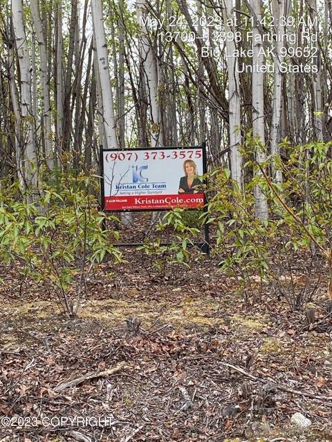 13561 W Moonrise Dr, Big Lake, AK 99652