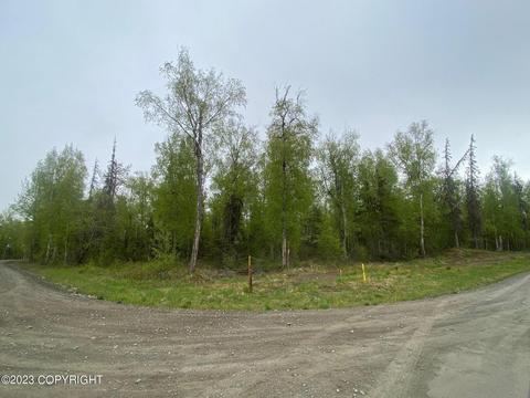 L11 B2 S Gon Fishin Drive, Wasilla, AK 99623