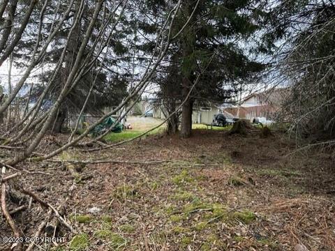281 E Fairview Ave, Homer, AK 99603