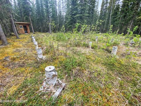 L1-2 Red Fox Drive, Tok, AK 99780