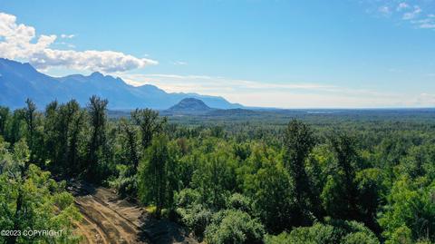 B1 L8 N Hale Circle, Palmer, AK 99645