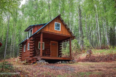 10031 Hardship Ln, Willow, AK 99688