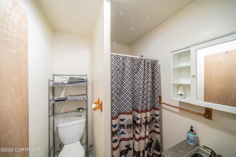15843 Garroutte St, Ninilchik, AK 99639 photo 6