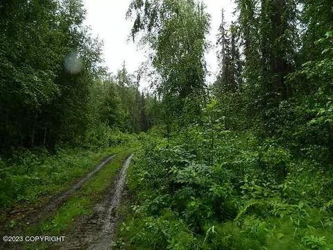 16843 Dairy Loop, Wasilla, AK 99654