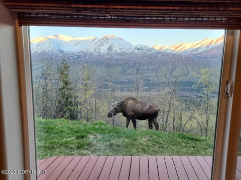 24745 Oriedner Rd, Eagle River, AK 99577 photo 32