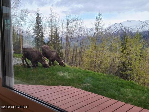 24745 Oriedner Rd, Eagle River, AK 99577 photo 35