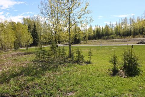 17205 Bishop St, Ninilchik, AK 99639 photo 18