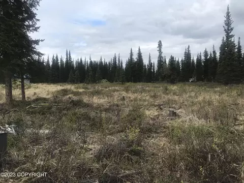 52255 Chilly Paw, Kasilof, AK 99610