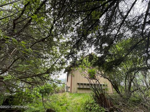 533 Hidden Way, Homer, AK 99603