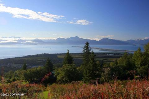 2650 Kestrel Ln, Homer, AK 99603