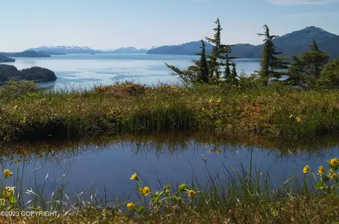 111 Cabin Ridge Rd, Cordova, AK 99574