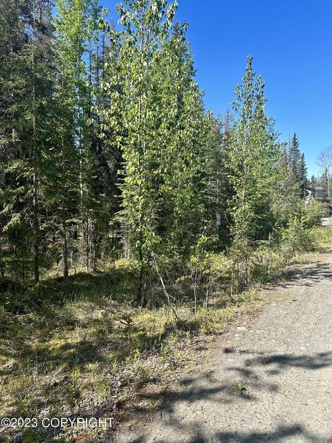 L4-5 Inglebrook Court, Sterling, AK 99672