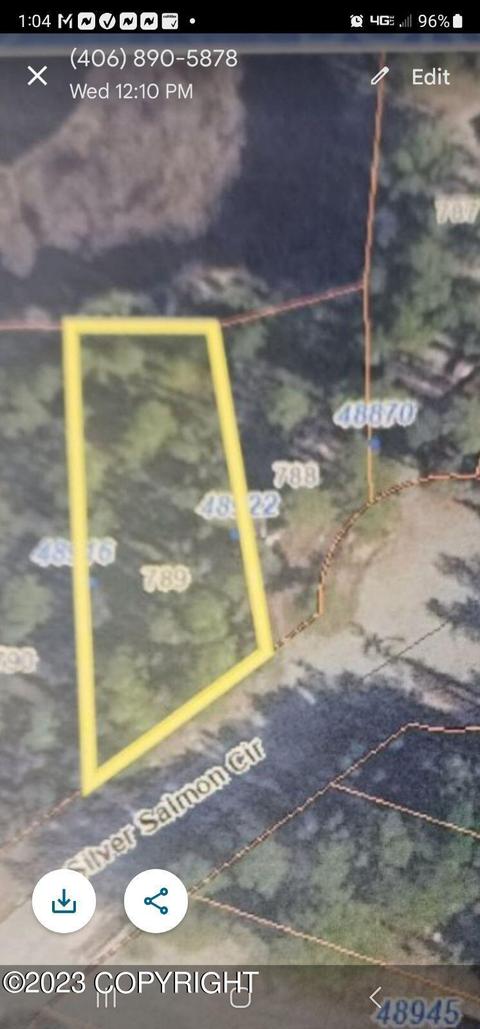 48922 S Silver Salmon Cir, Willow, AK 99688