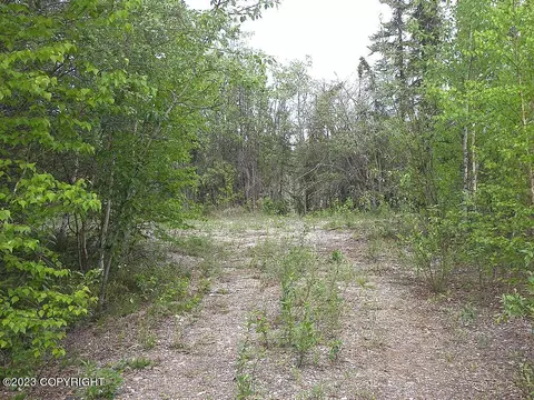 5657 Loop Rd, Salcha, AK 99714 photo 5