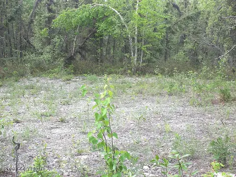 5657 Loop Rd, Salcha, AK 99714 photo 8