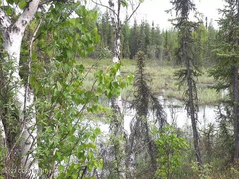 5657 Loop Rd, Salcha, AK 99714 photo 7