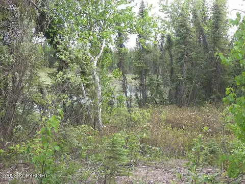 5657 Loop Rd, Salcha, AK 99714 photo 6
