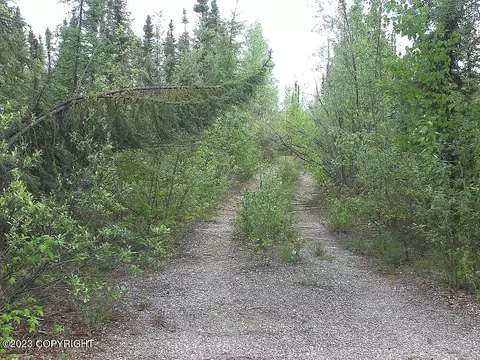 5657 Loop Rd, Salcha, AK 99714 photo 3
