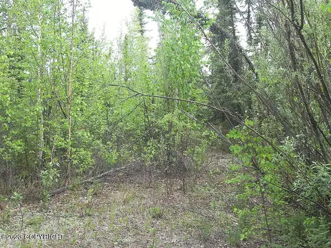 5657 Loop Rd, Salcha, AK 99714 photo 4