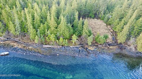 L29f Wadleigh Island, Klawock, AK 99925
