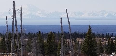 0000 Caribou Hills Lot-see Legal, Ninilchik, AK 99639
