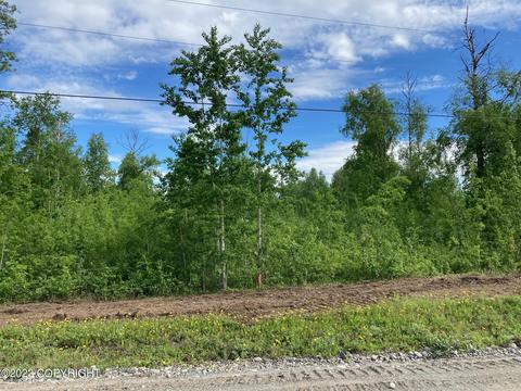 10471 W Backus Dr, Wasilla, AK 99623