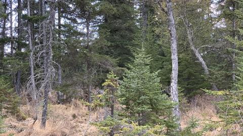 35767 Lifeboat Loop, Anchor Point, AK 99556