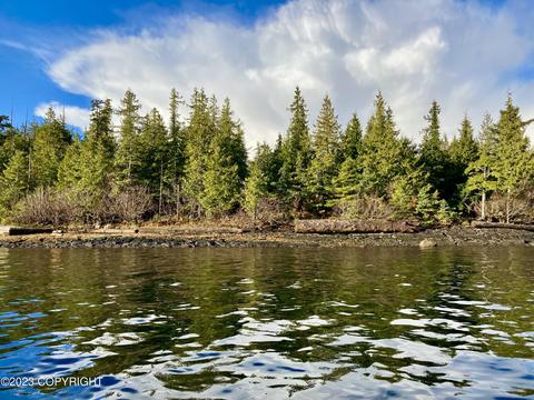 L30f Wadleigh Island, Klawock, AK 99925