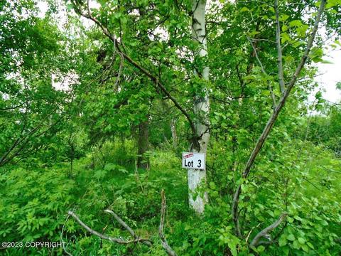L3 E 135th Avenue, Anchorage, AK 99516