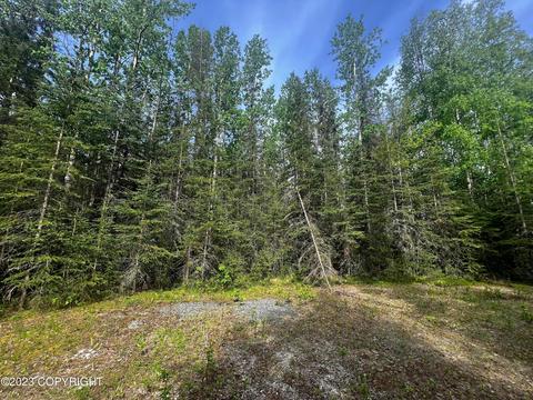 317 Edwards Ct, Soldotna, AK 99669