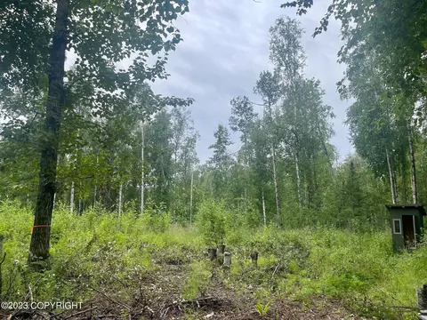 14357 Stormybrook Cir, Willow, AK 99688 photo 18