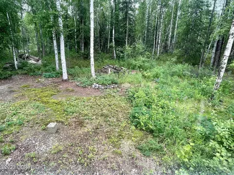 14357 Stormybrook Cir, Willow, AK 99688 photo 26