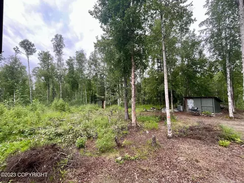 14357 Stormybrook Cir, Willow, AK 99688 photo 21
