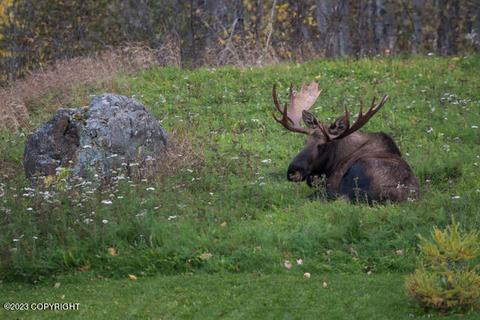 32540 Eagle River Rd, Eagle River, AK 99577 photo 62