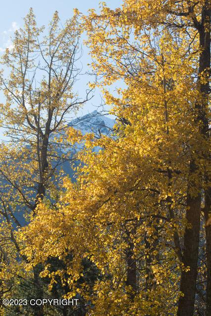 32540 Eagle River Rd, Eagle River, AK 99577 photo 60