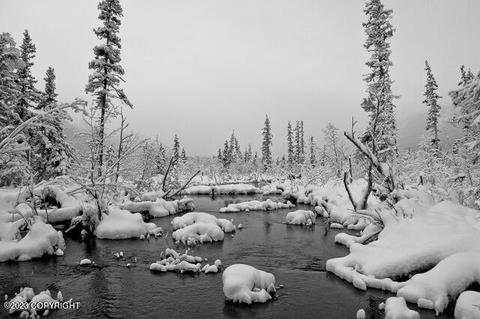 32540 Eagle River Rd, Eagle River, AK 99577 photo 67