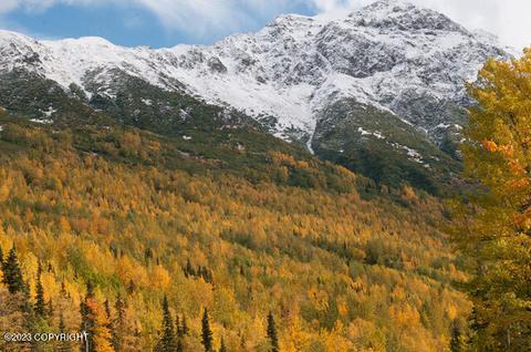 32540 Eagle River Rd, Eagle River, AK 99577 photo 65