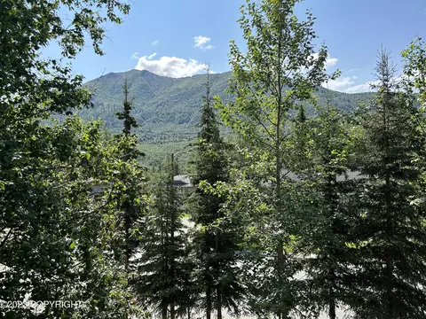 18830 Katelyn Cir, Eagle River, AK 99577 photo 23