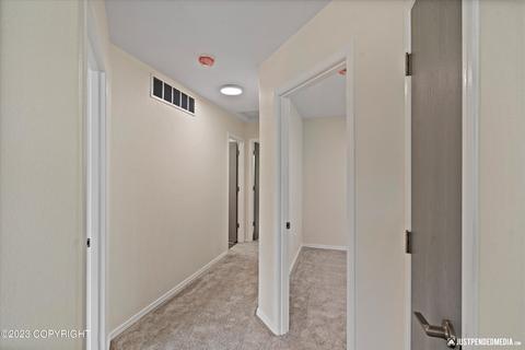 5561 Alora Loop # 17, Anchorage, AK 99504 photo 19