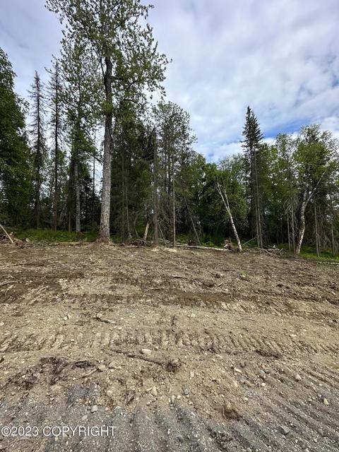 Lot 2 Immanuel Sub, Nikiskinorth Kenai, AK 99635
