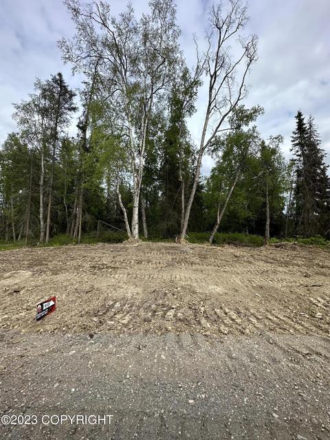 Lot 3 Immanuel Sub, Nikiskinorth Kenai, AK 99635