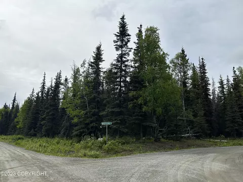 37690 Kelcee Ln, Sterling, AK 99672