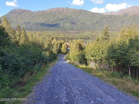 35054 Painter Dr, Cooper Landing, AK 99572