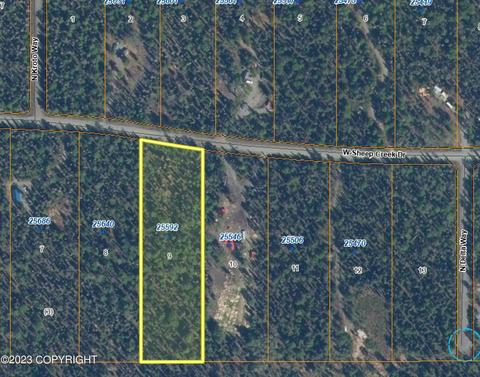 25592 Sheep Creek Dr, Willow, AK 99688