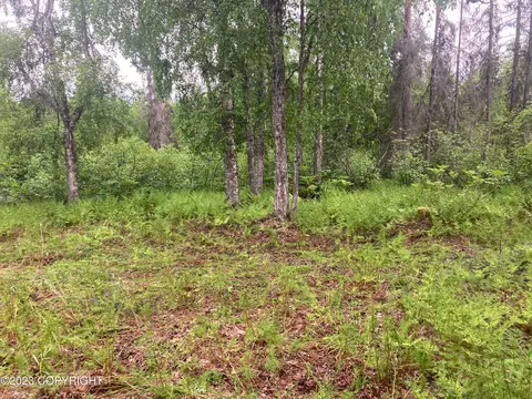 L5 B2 E Big Mountain Road, Talkeetna, AK 99676