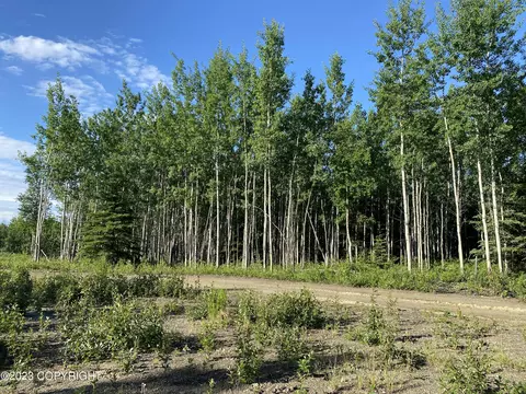 L16 Grandview Circle, Delta Junction, AK 99737