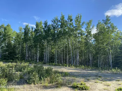 L36 Grandview Circle, Delta Junction, AK 99737