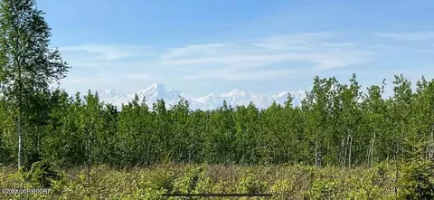 L17 & L35 Grandview Circle, Delta Junction, AK 99737