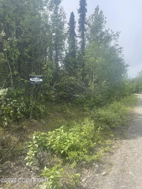 13892 E Mckinley Dr, Willow, AK 99688